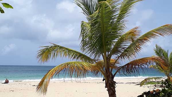 location vacances Martinique