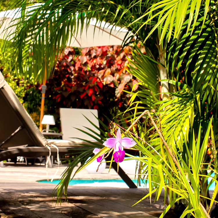 logement vacances Martinique | Villa Baie du Marin